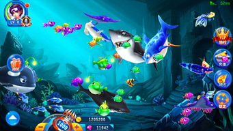 街機(jī)電玩捕魚(yú)游戲與手機(jī)捕魚(yú)游戲開(kāi)發(fā)的對(duì)比分析